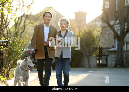 Ältere Paare gehen Hunde im Freien Stockfoto