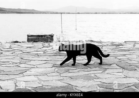 Eine schwarze Katze auf einem Pier am Trasimenischen See (Umbrien) Stockfoto