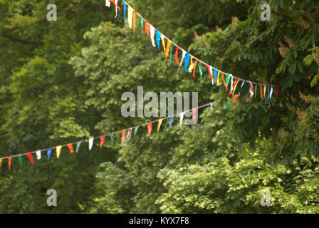 Bunting, Staindrop, County Durham Stockfoto