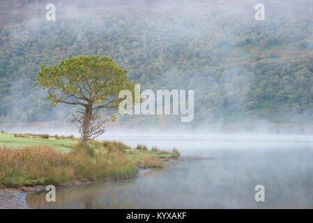 Schönen Nebel auf buttermere See Stockfoto