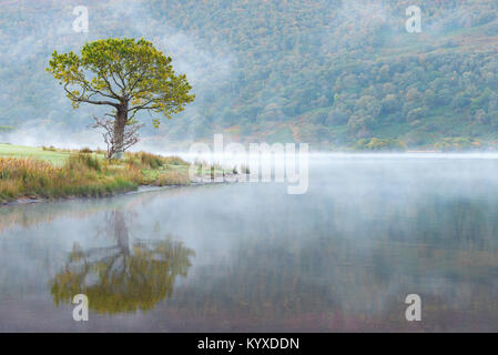 Schönen Nebel auf buttermere See Stockfoto