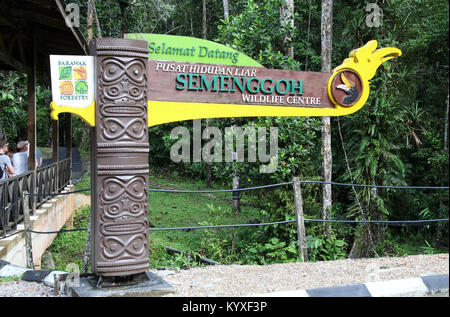 Semenggoh Wildlife Center in der Nähe von Kuching in Sarawak Stockfoto