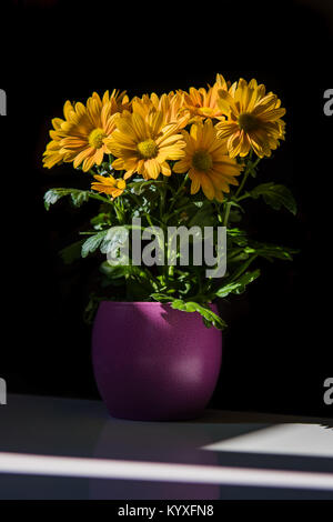 Das Bukett von gelben Gerbera Blumen in der Vase. Stockfoto