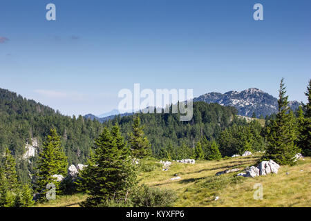 Zavizan Berge und Kiefernwald - Nord Velebit Nationalpark, Kroatien - 23 Aug 2016 Stockfoto