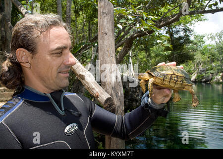 Scuba Diver hält einen Red-eared Dosenschildkröte, Rot - eard Schieberegler (TRACHEMYS SCRIPTA elegans) in der Hand, Tulum, Yucatan, Mexiko, Karibik Stockfoto
