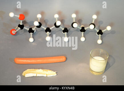 Molekülmodell Ölsäure mit Nahrungsmitteln samles contaioning diese Art von Ölsäuren. Saturtedd Ölsäure, mit Milch, Käse und als porkmeat examles. Stockfoto