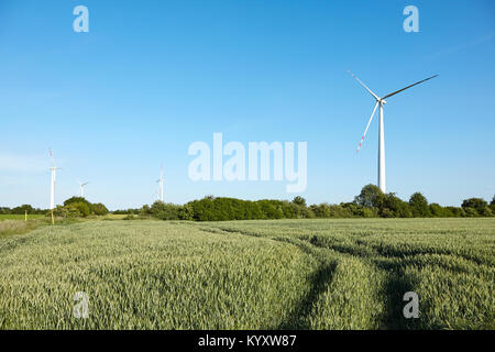 Windenergieanlagen im Weizenfeld. Polen Stockfoto