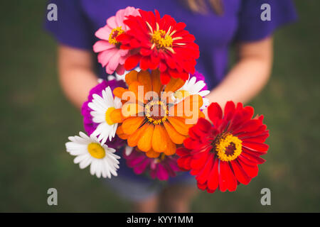 Hohe Betrachtungswinkel von Teenage girl Holding zinnia und Daisy beim Stehen auf Feld Stockfoto