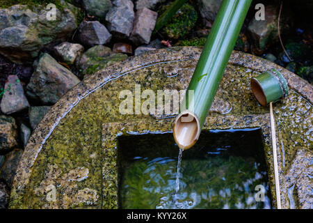 Ein tsukubai (Waschbecken) In einem buddhistischen Tempel in Kyoto, Japan. Das Becken für die rituelle Waschung der Hände und Mund. Stockfoto