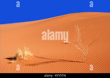 Sand dune, Sossusvlei, Namib-Naukluft-Nationalpark, Namib, Namibia | Sandduene, Sossusvlei, Namib-Naukluft Nationalpark, Namibia Stockfoto