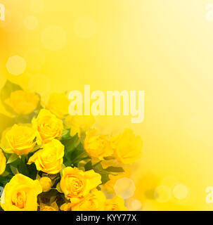 Hintergrund mit gelben Rosen, wunderschöne unscharfe Blumen Stockfoto