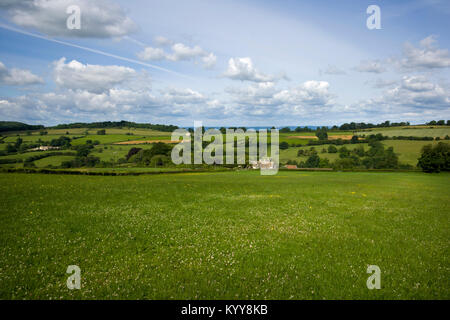 Sommer Sonnenschein Blick auf einem idyllischen Tal in der Landschaft in der Nähe von Cotswold, Painswick Gloucestershire, Vereinigtes Königreich. Stockfoto