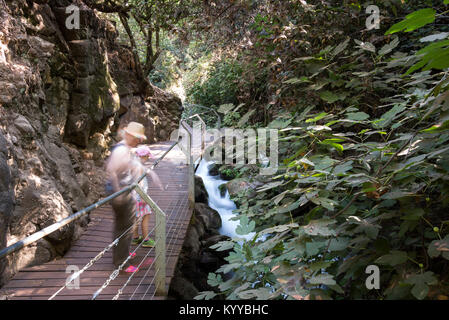 Besuchen Banias Naturschutzgebiet im Norden Israels Stockfoto