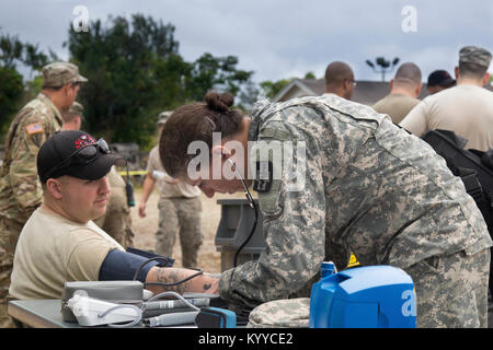 Armee Reservisten mit der 468Th Engineer Loslösung von Danvers, Massachusetts Zug mit dem Miami-Dade Feuerwehr an der städtischen Suche und Rettung Training Area in Miami, FL 9. Dies ist die dritte in einer Reihe gemeinsamer Übungen zwischen US-Armee Nord, US Northern Command und Kommunen über den Vereinigten Staaten. Diese jte konzentriert sich auf den Aufbau von Kapazitäten und der nahtlose Übergang zwischen den örtlichen Ersthelfern und die Unterstützung durch die Nationalgarde und aktiven Soldaten zur Verfügung gestellt. (DoD Stockfoto