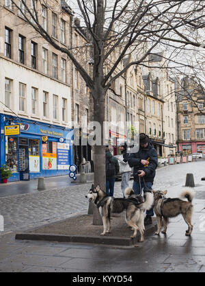 Mann, wie Heisenberg oder Walter Weiß, wenige Hunde auf der Straße in Edinburgh. Stockfoto