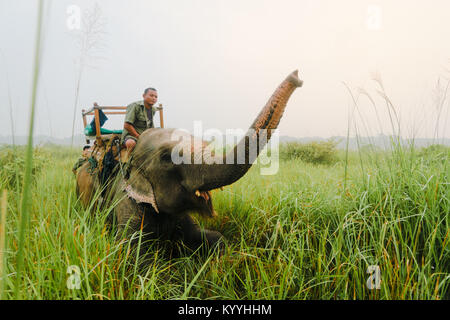 CHITWAN, Nepal - 10. SEPTEMBER 2015: ein mahout macht seine Elefanten Crouch und Salute in Chitwan Nationalpark Nepal.. Elephant Safaris sind die einzigen Stockfoto