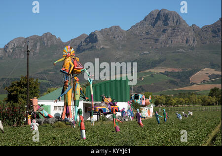 Stellenbosch Somerset West Road in der Western Cape Südafrika. Dezember 2017. Scarcrows auf einem strawberry Farm Stockfoto