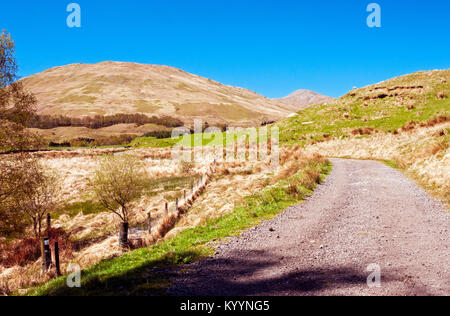 Zu Fuß durch eine große Schaffarm entlang der West Highland Way in der Nähe der Stadt Tyndrum, Schottland Stockfoto