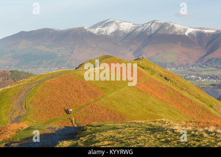 Winterwanderer auf Cat Glocken mit Skiddaw hinter - Lake District, Großbritannien Stockfoto