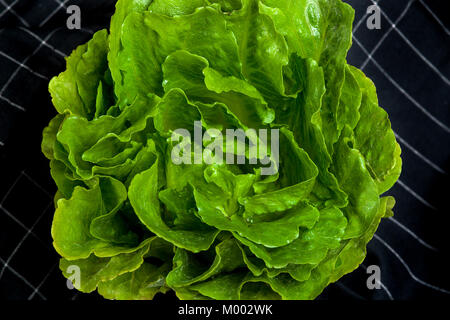 Ansicht von oben in Nahaufnahme auf grünem Salat auf dunklem Hintergrund Stockfoto