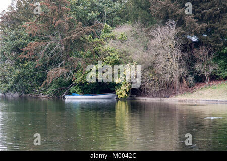 Eine weiße Zeile boot mit blauem Rand angedockt am Rande eines Sees unter Bäumen im Wasser wider. Stockfoto