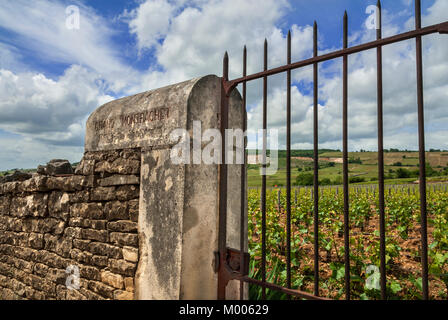 LE MONTRACHET Eingangstor zu den feinen Grand Montrachet Weinberg, Puligny-Montrachet, Côte d'Or, Frankreich. [Côte de Beaune Grand Cru] Stockfoto