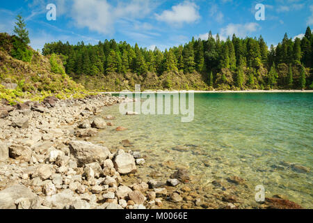 Am Ufer des Lagoa do Fogo, mit kristallklarem Wasser auf der Insel São Miguel, Azoren Stockfoto