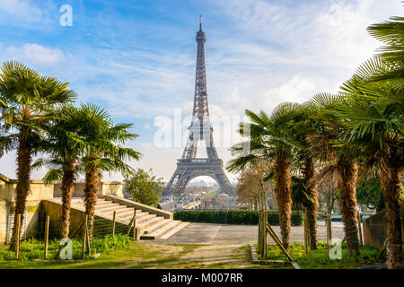 Blick auf den Eiffelturm von den Trocadero Gärten mit Palmen im Vordergrund von einem sonnigen Nachmittag. Stockfoto