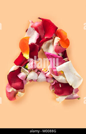 Schreiben ein aus roten Rosen und Rosenblätter auf weißem Hintergrund gemacht Stockfoto