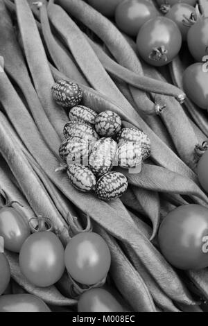 Cucamelons und Tomaten auf einem Bett von lange Stangenbohnen - monochrom Verarbeitung Stockfoto