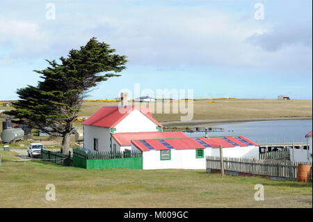 Goose Green, East Falkland. Stockfoto