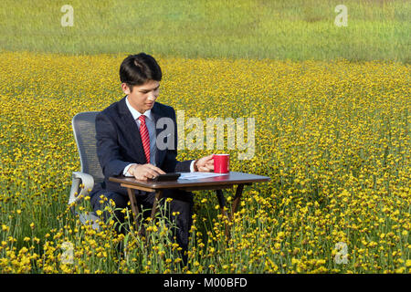 Asiatische Geschäftsmann arbeitet in einem großen gelben Blume Bereich Stockfoto