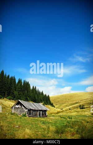 Alte hölzerne Ferienhaus in alpine Wiese Stockfoto