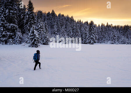 Frau Wandern im Schnee bei Sonnenuntergang über Verschneiten Kiefernwald, Kerl, Cerknica, Slowenien. Stockfoto