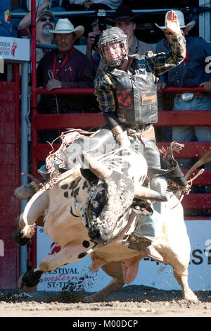 St-Tite, Kanada, 10. September 2011. Cowboy auf einem Stier reiten Konkurrenz an der St-Tite Western Festival. Credit: Mario Beauregard/Alamy leben Nachrichten Stockfoto