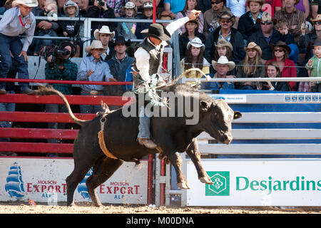 St-Tite, Kanada, 10. September 2011. Cowboy beim Bull-Riding-Wettbewerb am St-Tite Western Festival. Credit: Mario Beauregard/Alamy leben Nachrichten Stockfoto