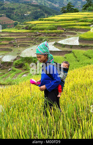 Junge Frau, die ihr Baby tragen während der Arbeit auf die Reisterrassen in Hoang Su Phi, Ha Giang Provinz, in der bergigen nordwestlichen Vietnam. Stockfoto