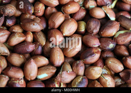 Red geröstete Erdnüsse, einige öffnen, mit und ohne Schale. Erdnuss, Erdnuß, goober. Körnerleguminosen mit hohem Ölgehalt, ein Öl das Erntegut. Eßbare Samen. Stockfoto