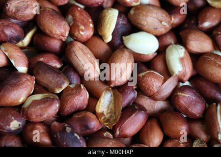 Red geröstete Erdnüsse, einige öffnen, mit und ohne Schale. Erdnuss, Erdnuß, goober. Körnerleguminosen mit hohem Ölgehalt, ein Öl das Erntegut. Eßbare Samen. Stockfoto