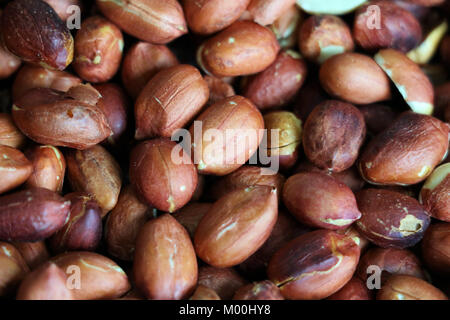 Red geröstete Erdnüsse, einige öffnen, mit und ohne Schale. Erdnuss, Erdnuß, goober. Körnerleguminosen mit hohem Ölgehalt, ein Öl das Erntegut. Eßbare Samen. Stockfoto