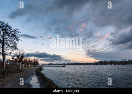 Sonnenuntergang am Rhein, Deutschland. Stockfoto