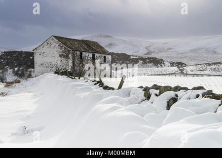 Wald-in-Teesdale, County Durham, UK. Mittwoch, 17. Januar 2018. UK Wetter. Starke Winde und starke Schneeschauer haben Schneeverwehungen mehrere Fuß tief im Wald erstellt-in-Teesdale, County Durham, heute Nachmittag. Quelle: David Forster/Alamy leben Nachrichten Stockfoto