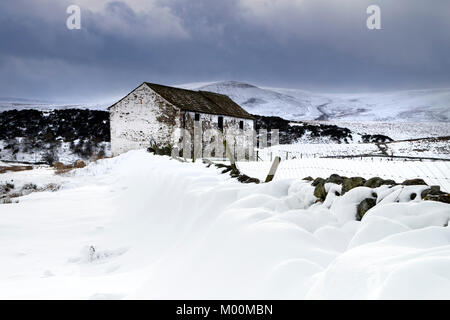 Wald-in-Teesdale, County Durham, UK. Mittwoch, 17. Januar 2018. UK Wetter. Starke Winde und starke Schneeschauer haben Schneeverwehungen mehrere Fuß tief im Wald erstellt-in-Teesdale, County Durham, heute Nachmittag. Quelle: David Forster/Alamy leben Nachrichten Stockfoto