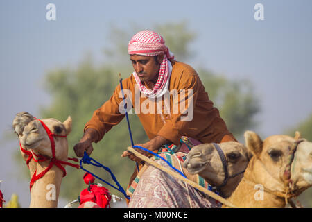 Ras Al Khaimah, Ras Al Khaimah, Vereinigte Arabische Emirate. 28 Sep, 2017. Ein Kamel jockey Reiten seine Kamele an den Start. Kamel-rennen an verschiedenen Camel Race Tracks während der Wintermonate am Freitag Vormittag statt. Die JOCKEYS sind in der Regel die Camel Handler aus der Farm die Kamele aus sind. Credit: Mike Haken/SOPA/ZUMA Draht/Alamy leben Nachrichten Stockfoto