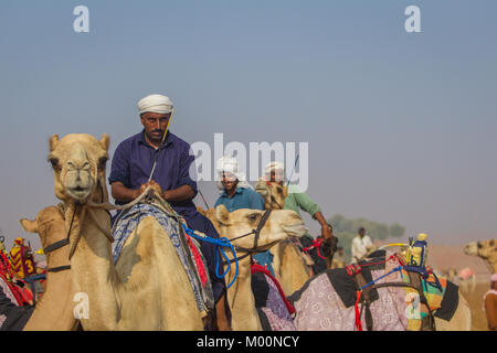 Ras Al Khaimah, Ras Al Khaimah, Vereinigte Arabische Emirate. 28 Sep, 2017. Camel jockeys reiten Kamele an den Start. Kamel-rennen an verschiedenen Camel Race Tracks während der Wintermonate am Freitag Vormittag statt. Die JOCKEYS sind in der Regel die Camel Handler aus der Farm die Kamele aus sind. Credit: Mike Haken/SOPA/ZUMA Draht/Alamy leben Nachrichten Stockfoto