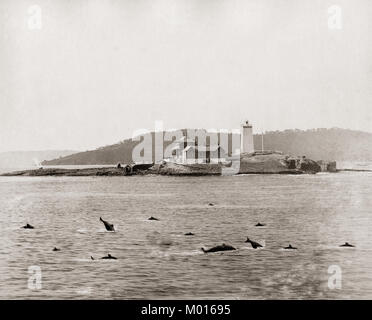 Die Derwent Leuchtturm, Tasmanien, AustraliaThe Bild hat die Delfine und Schweinswale besser von Hand in den Vordergrund hinzugefügt. Stockfoto