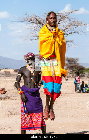 Samburu Masai Mann oder Krieger tun das traditionelle springen Tanz, Samburu, Kenia, Ostafrika Stockfoto