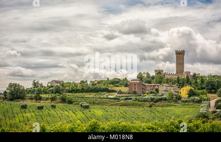 Ländliche Sommer Landschaft mit Weinbergen und Feldern in der Nähe von Porto Recanati in der Region Marche, Italien Stockfoto