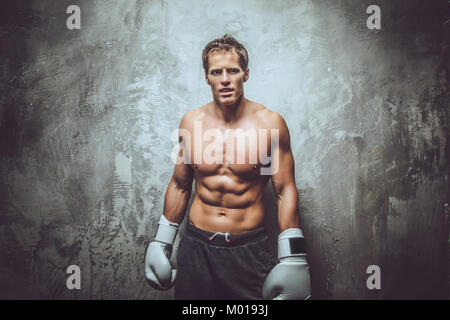 Schöne muskulöse Boxer Stockfoto