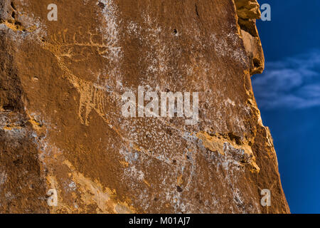 Elk Petroglyph auf einer Klippe hoch über Nine Mile Canyon, Utah, USA Stockfoto